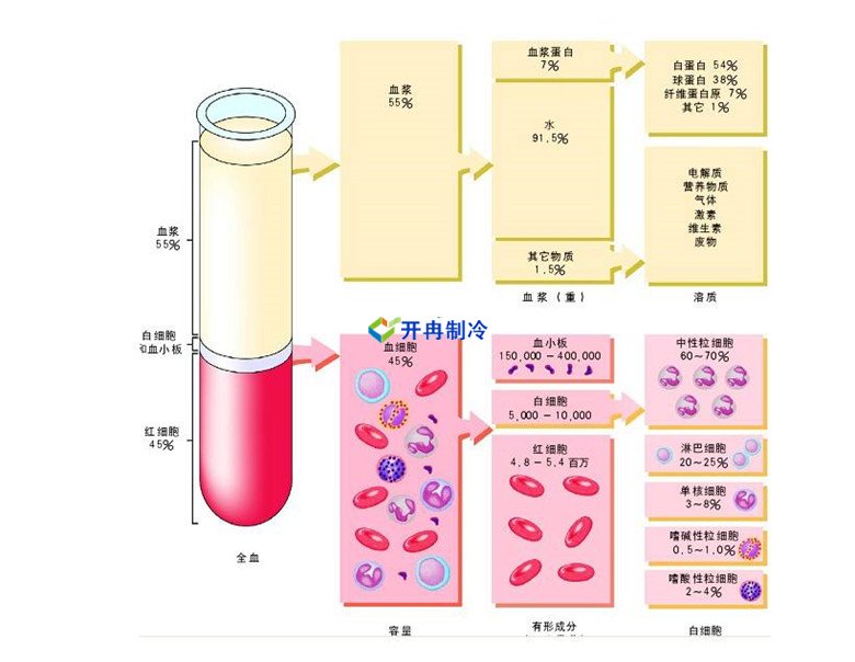 -30℃～-80℃血漿蛋白低溫冷凍庫規范，冷庫安裝價格